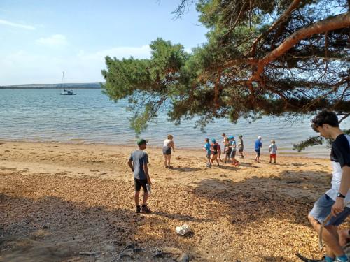 0def481a-7965-4722-826c-1f006bd87d00