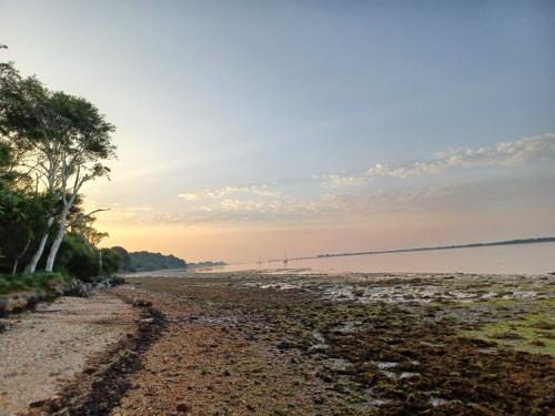 35a56754-d301-4c38-8afd-e789293da5aa (1)