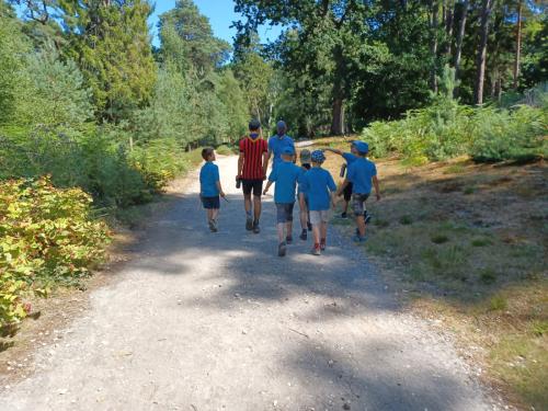 47e9a216-ed1d-4597-8d96-9c8b0e6cd6e9