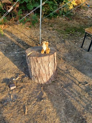 4cbe47f7-9d62-4623-b2b4-c2f8e6281d29