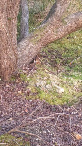 53296274-23e8-468c-802a-1ecd795d71d2