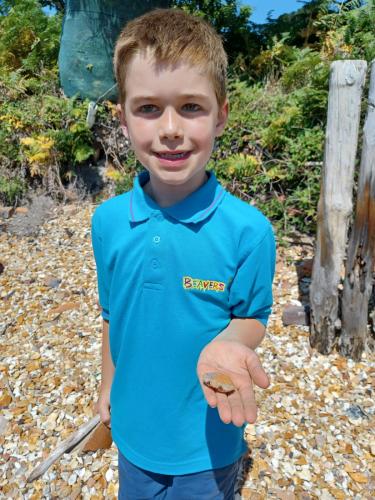 55399667-d3d1-4ea6-9df6-492645fa7072-1