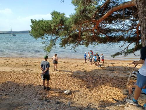 5919028e-c2c8-4bbc-bad0-42cdda8eaa0c (1)