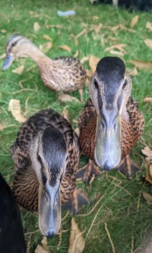 59a261a5-fc95-4500-a87c-0bcdb309347c