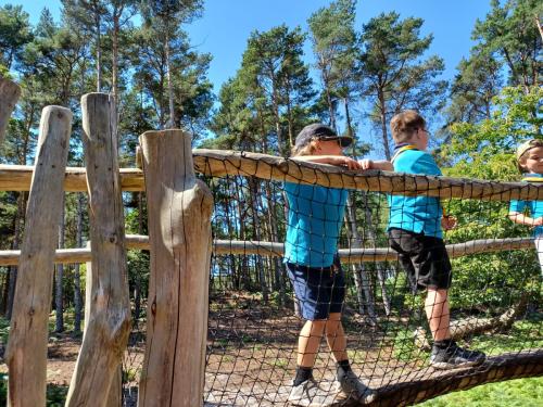 84165a6e-51a6-472b-a27a-16934bf98e9d (1)