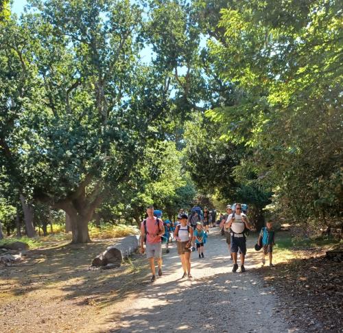 868cb7b8-a4d8-4b85-bf73-04f1bcc25de4