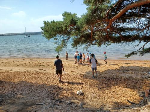 8f97d8b2-ec1a-4958-8291-1a07ac3c4dd2 (1)