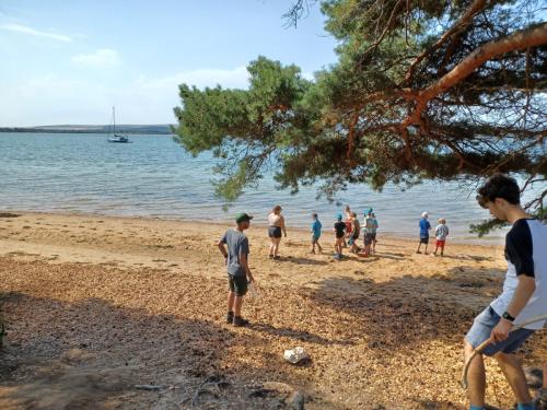 97dabcd7-02c7-4272-a0a8-e1572af0b549