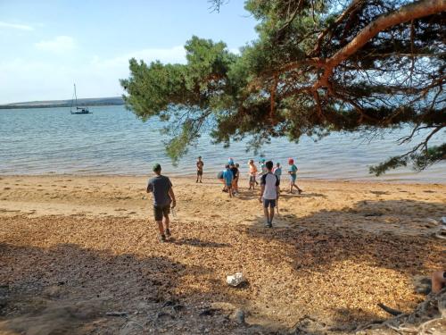 af1a40f3-5a05-4d77-8a61-cf85950ae572