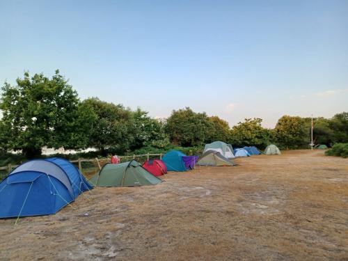 bf56c11e-a5e5-4850-a67e-8dcbdf52be42