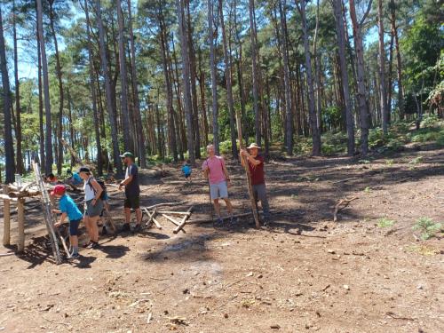 ca9dc06e-d54c-4425-8788-f46a2da66747 (1)