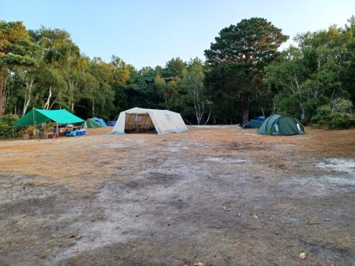 cf893827-5651-4250-abce-41a6e9d4881d (1)