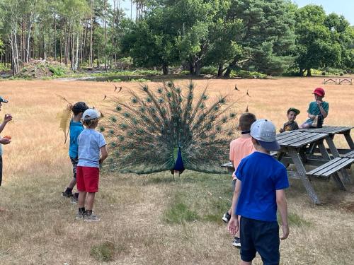 d50fe50f-b643-4c82-830b-a85b7c2d66a8