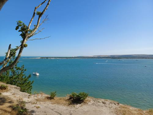 e98198f7-75cd-4873-8b0f-614d06cca014