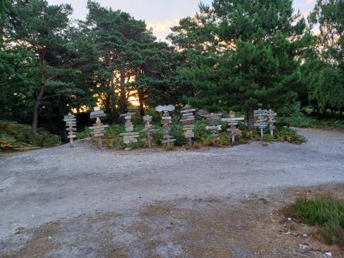 f824f398-f2df-4c3d-9015-0616b74c2910