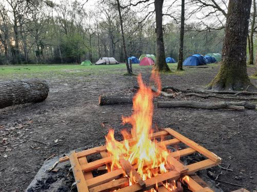 278564557 5051140198311069 1736930176165027278 n