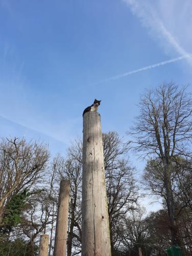 278571908 5051146331643789 4092871922068256399 n