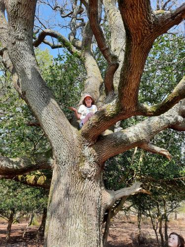 278613554 5051146881643734 3949390211556497144 n